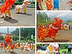 Dragon Dance at Hampton School 2019
